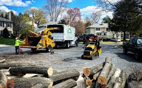 Reliable Mapleton, MN Tree Removal and Landscaping Services Solutions